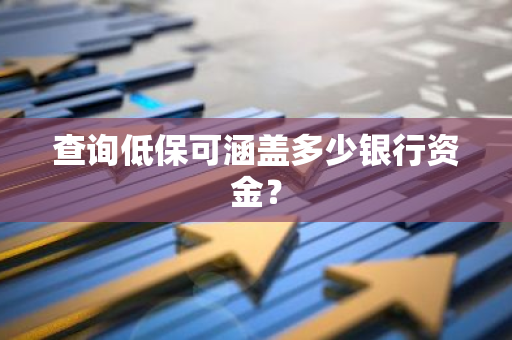 查询低保可涵盖多少银行资金？