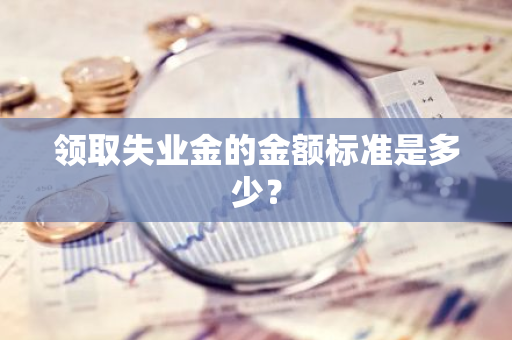 领取失业金的金额标准是多少？