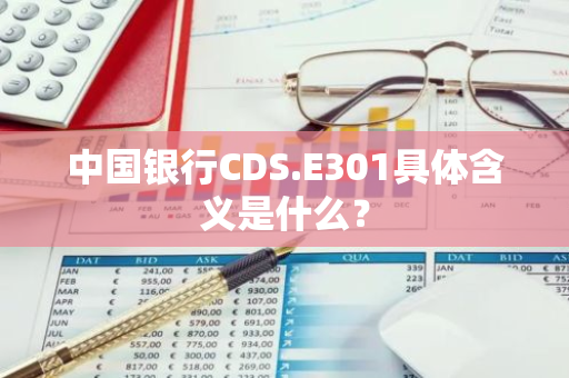 中国银行CDS.E301具体含义是什么？