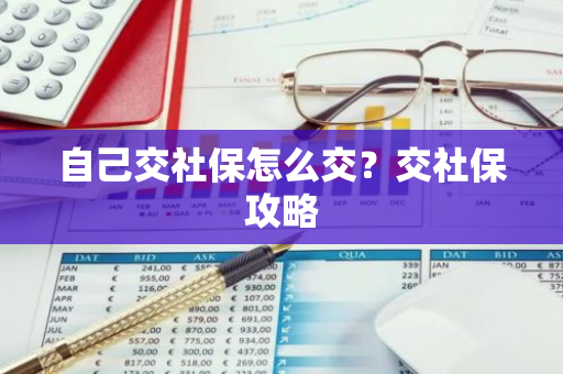 自己交社保怎么交？交社保攻略