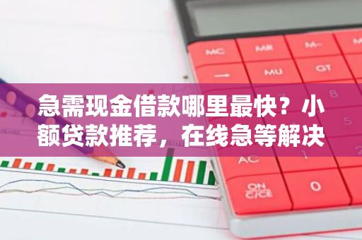 急需现金借款哪里最快？小额贷款推荐，在线急等解决方案？