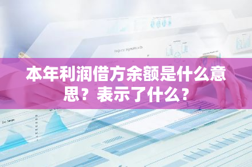 本年利润借方余额是什么意思？表示了什么？