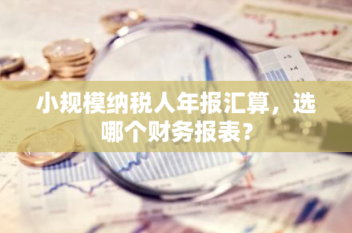 小规模纳税人年报汇算，选哪个财务报表？