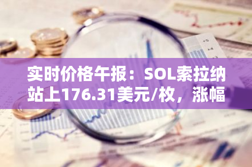 实时价格午报：SOL索拉纳站上176.31美元/枚，涨幅达2.00%