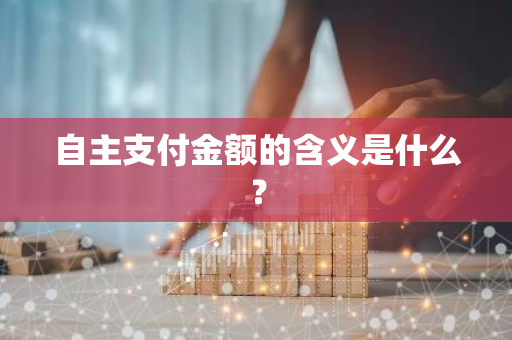 自主支付金额的含义是什么？