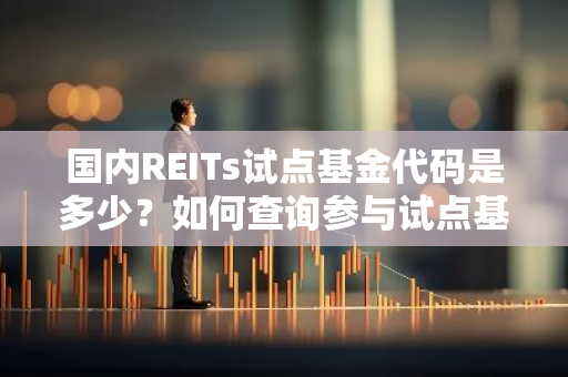 国内REITs试点基金代码是多少？如何查询参与试点基金的代码？