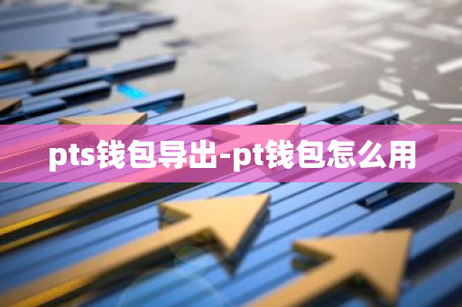 pts钱包导出-pt钱包怎么用