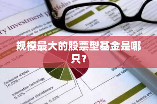 规模最大的股票型基金是哪只？