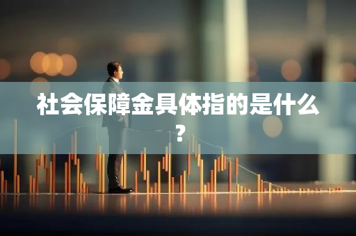 社会保障金具体指的是什么？