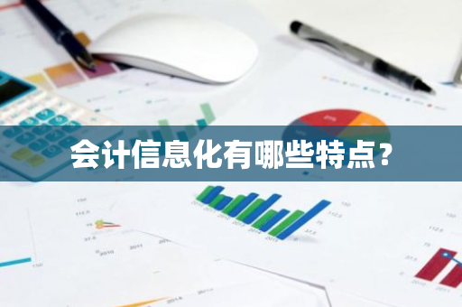 会计信息化有哪些特点？