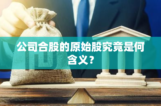 公司合股的原始股究竟是何含义？