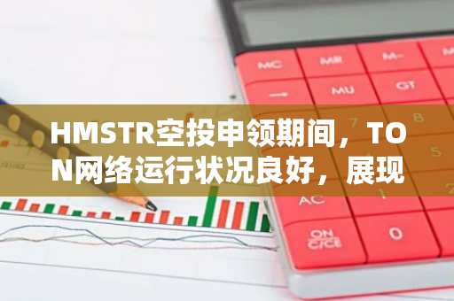 HMSTR空投申领期间，TON网络运行状况良好，展现了其高效稳定的技术实力