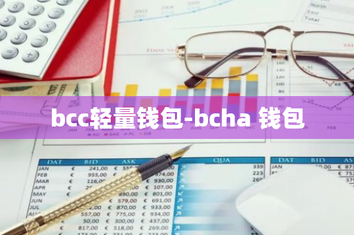 bcc轻量钱包-bcha 钱包