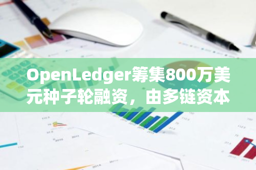 OpenLedger筹集800万美元种子轮融资，由多链资本和无边界资本牵头