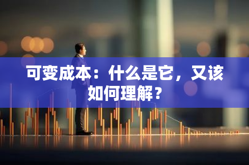 可变成本：什么是它，又该如何理解？