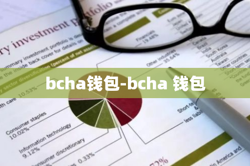 bcha钱包-bcha 钱包