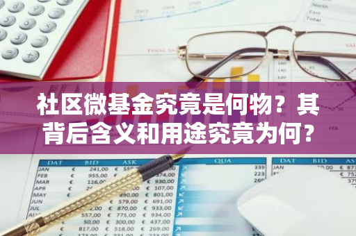 社区微基金究竟是何物？其背后含义和用途究竟为何？