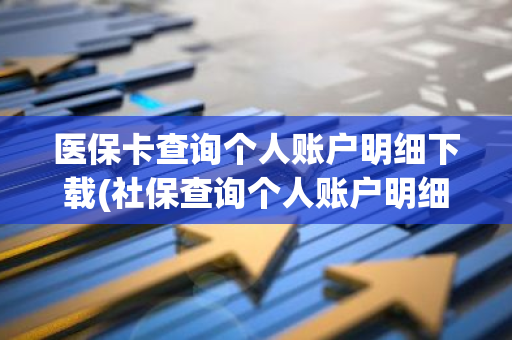 医保卡查询个人账户明细下载(社保查询个人账户明细)