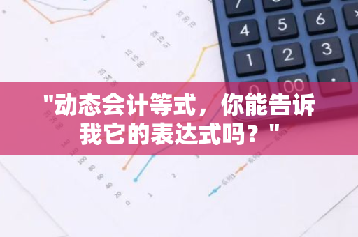 "动态会计等式，你能告诉我它的表达式吗？"