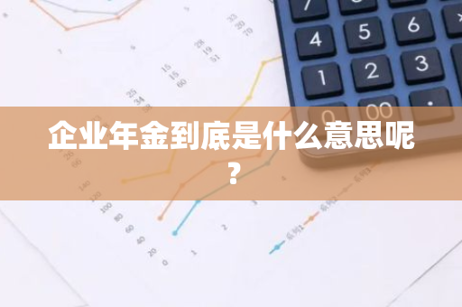 企业年金到底是什么意思呢？