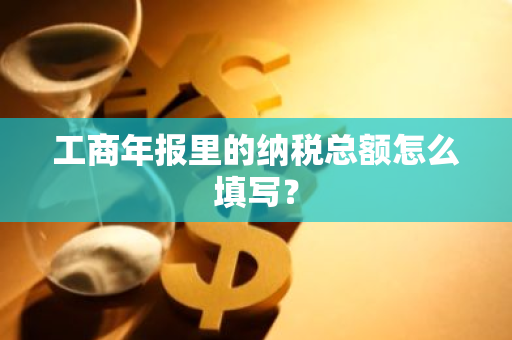 工商年报里的纳税总额怎么填写？