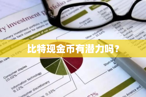 比特现金币有潜力吗？