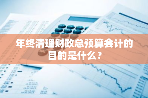 年终清理财政总预算会计的目的是什么？