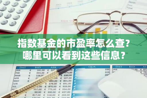 指数基金的市盈率怎么查？哪里可以看到这些信息？