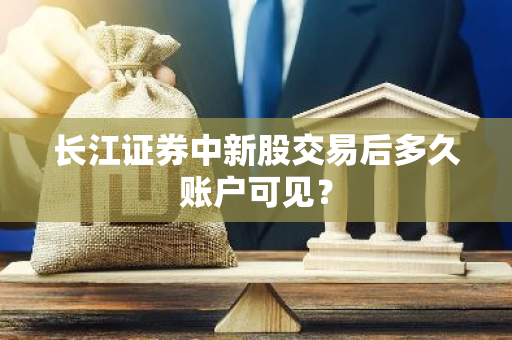 长江证券中新股交易后多久账户可见？