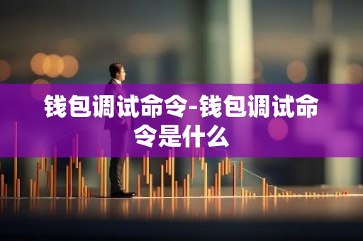 钱包调试命令-钱包调试命令是什么