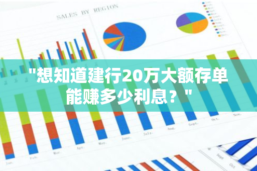 "想知道建行20万大额存单能赚多少利息？"