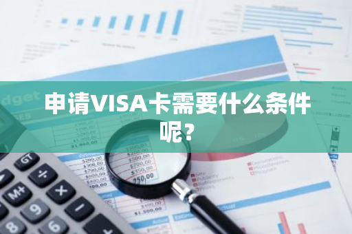 申请VISA卡需要什么条件呢？