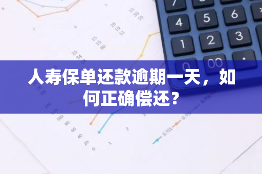 人寿保单还款逾期一天，如何正确偿还？