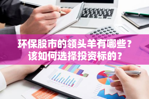 环保股市的领头羊有哪些？该如何选择投资标的？