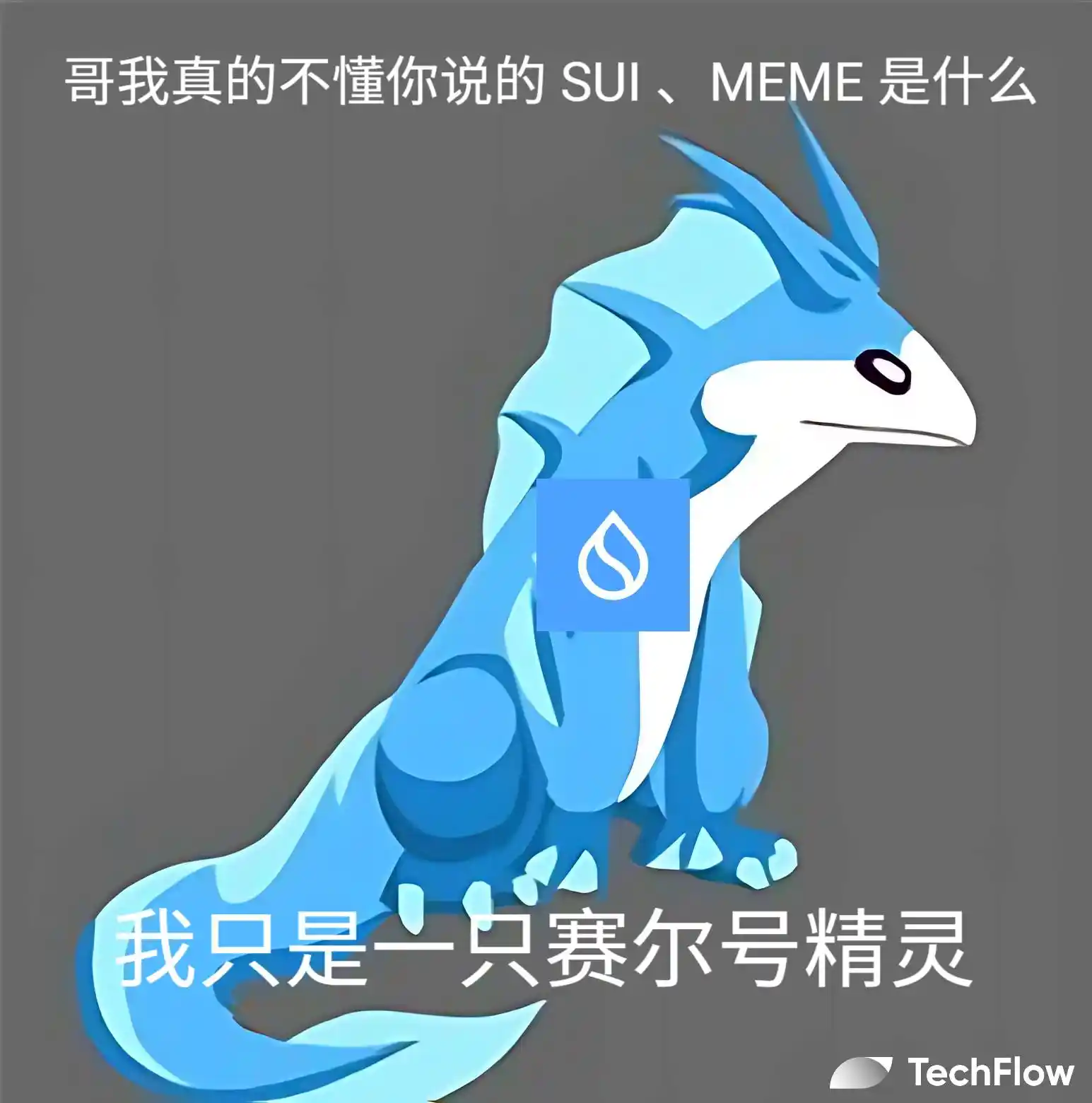 Sui生态崛起，盘点当前热门的「水属性Meme」