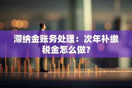 滞纳金账务处理：次年补缴税金怎么做？