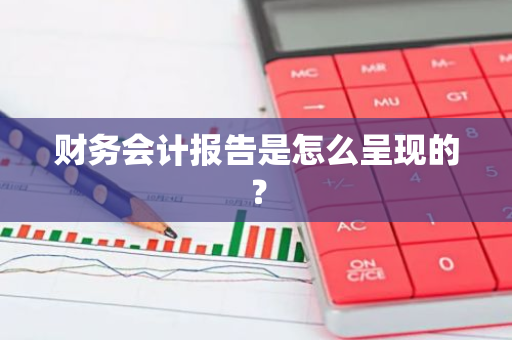 财务会计报告是怎么呈现的？