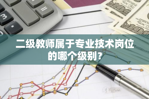 二级教师属于专业技术岗位的哪个级别？