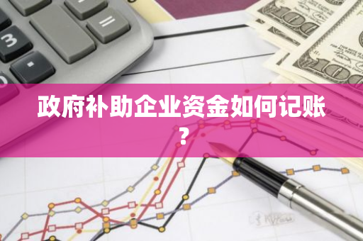 政府补助企业资金如何记账？