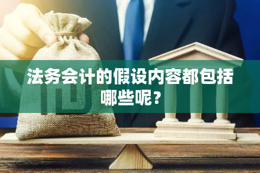 法务会计的假设内容都包括哪些呢？