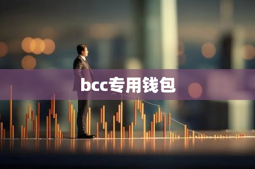 bcc专用钱包