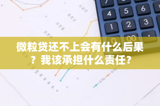 微粒贷还不上会有什么后果？我该承担什么责任？