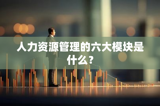 人力资源管理的六大模块是什么？