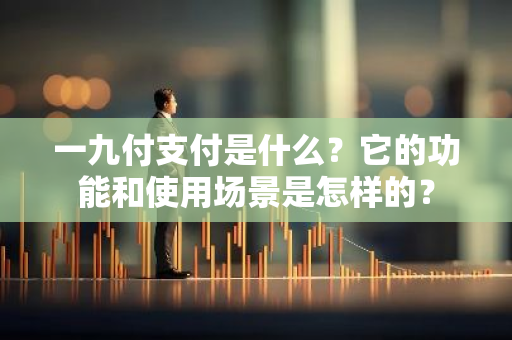 一九付支付是什么？它的功能和使用场景是怎样的？