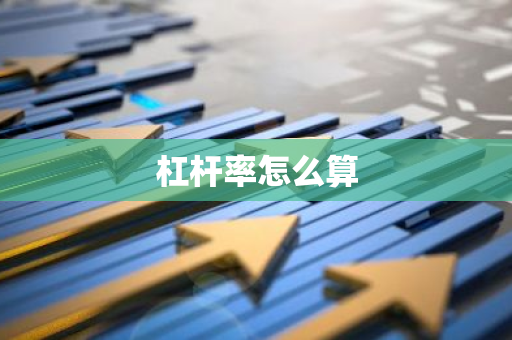 杠杆率怎么算