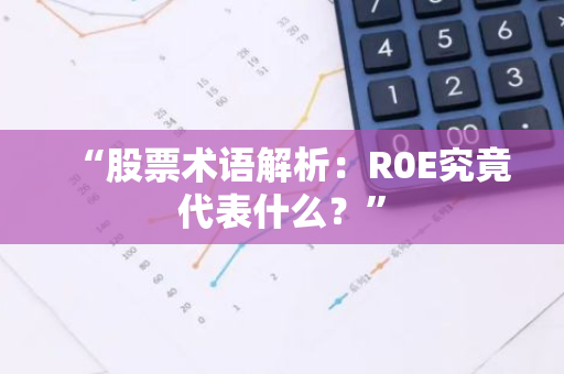 “股票术语解析：R0E究竟代表什么？”