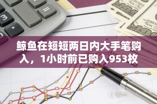 鲸鱼在短短两日内大手笔购入，1小时前已购入953枚BTC，两天累计买入2448枚BTC