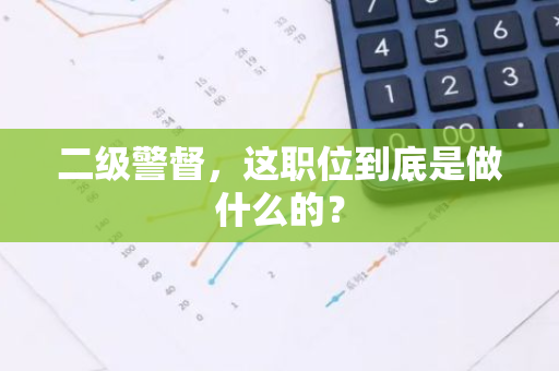 二级警督，这职位到底是做什么的？