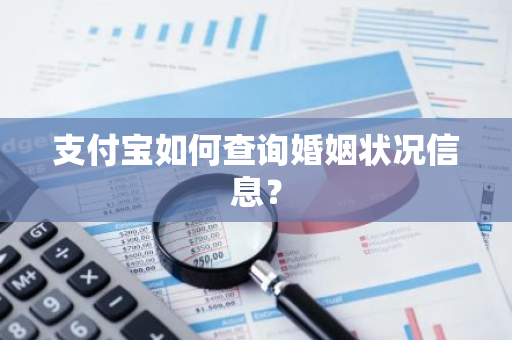 支付宝如何查询婚姻状况信息？