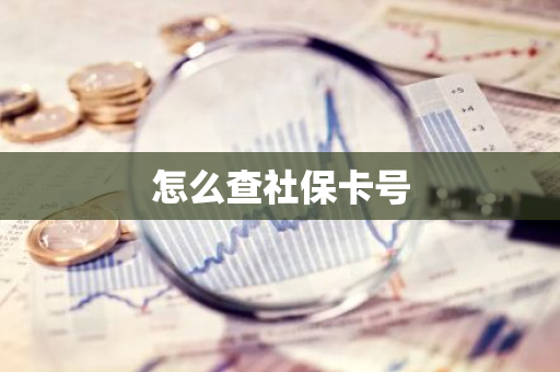 怎么查社保卡号